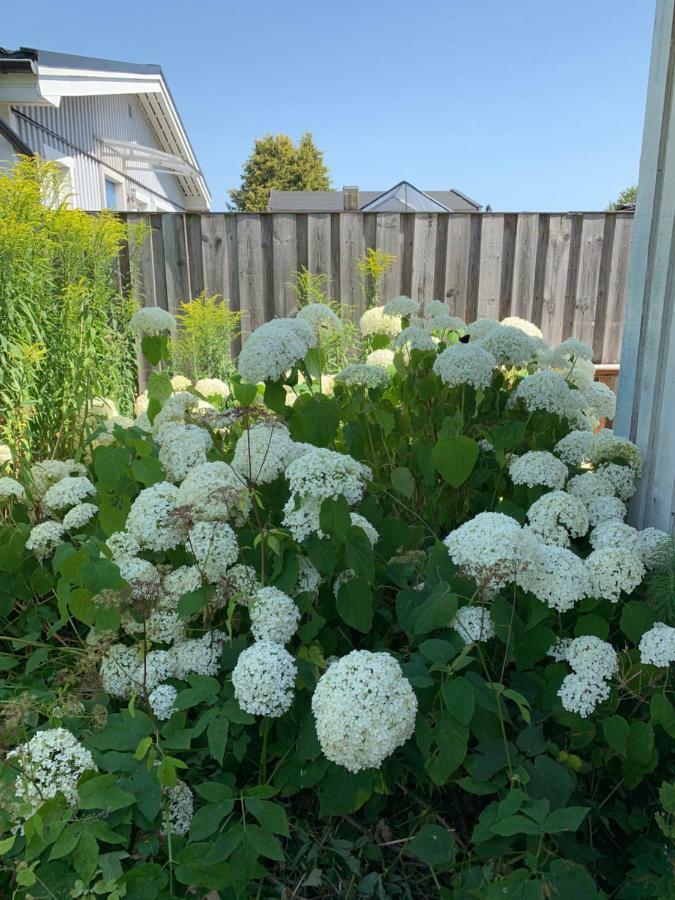 Private House Parking Garden Sea Nature Malmo Bagian luar foto